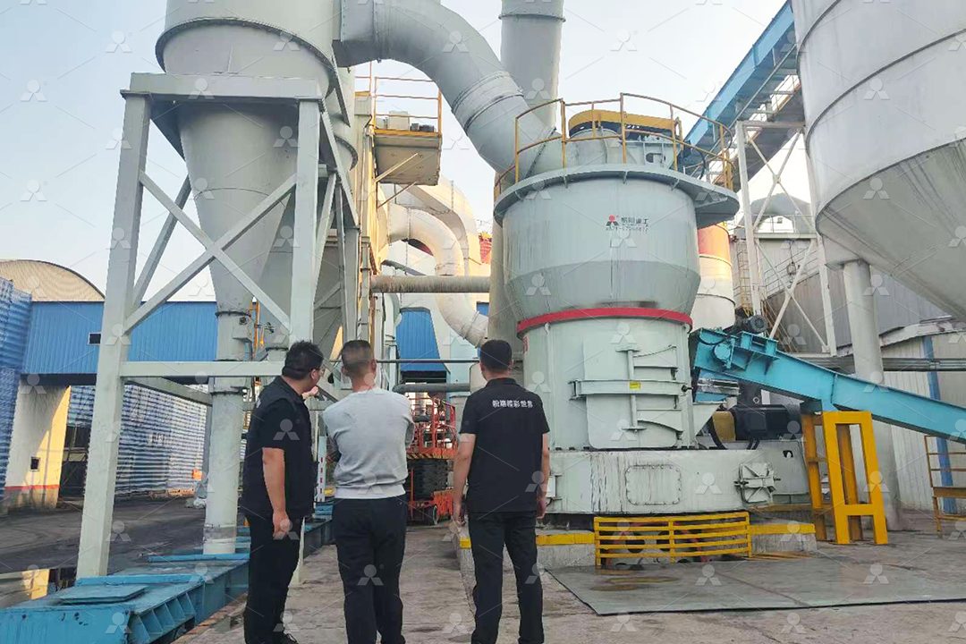 硅藻土400目微粉样品